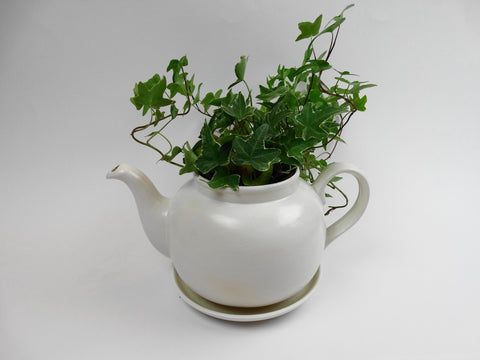 Teapot planter