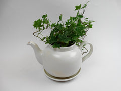 Teapot planter